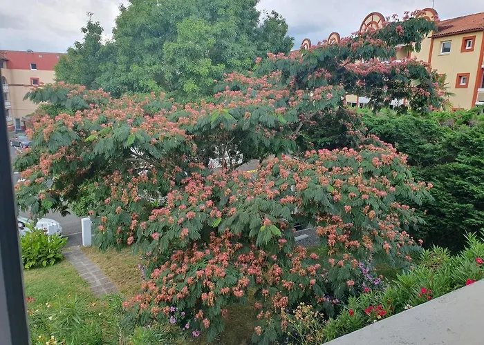 Argentine Cosy Apartman *